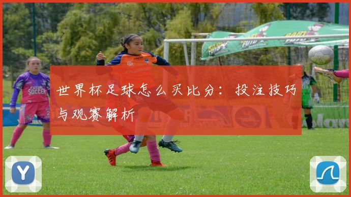 世界杯足球怎么买比分：投注技巧与观赛解析
