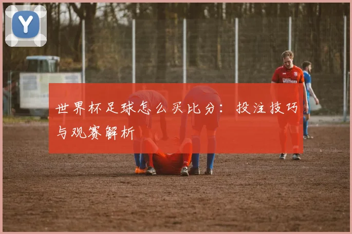 世界杯足球怎么买比分：投注技巧与观赛解析