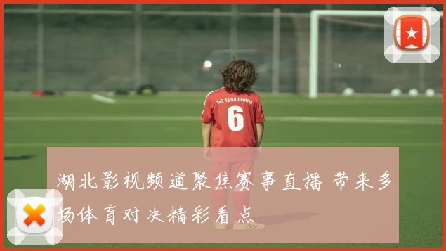 湖北影视频道聚焦赛事直播 带来多场体育对决精彩看点