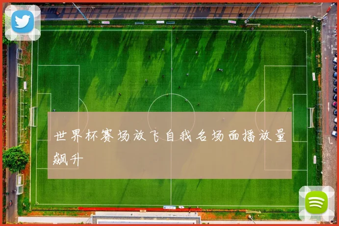 世界杯赛场放飞自我名场面播放量飙升