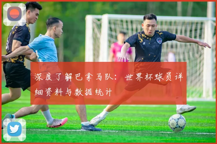 深度了解巴拿马队：世界杯球员详细资料与数据统计