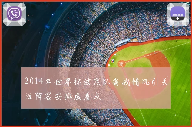 2014年世界杯波黑队备战情况引关注阵容安排成看点