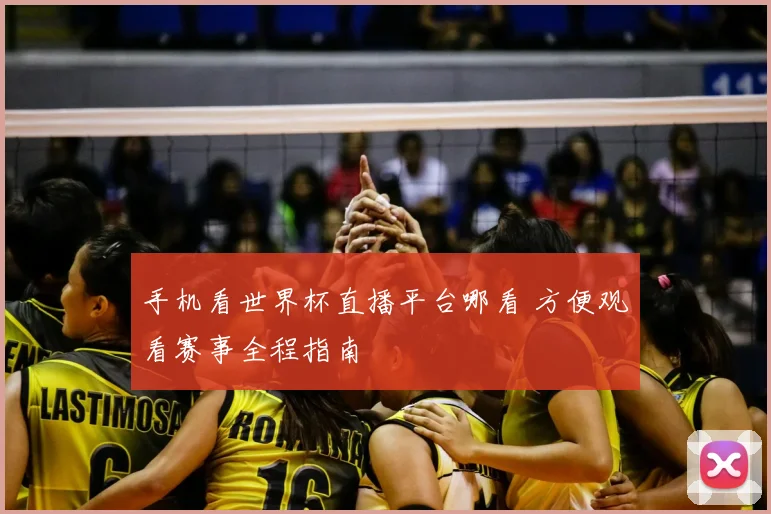 手机看世界杯直播平台哪看 方便观看赛事全程指南