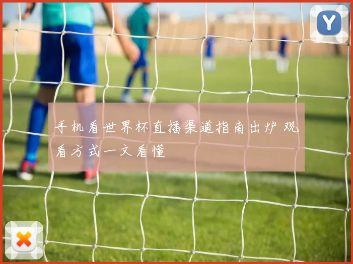 手机看世界杯直播渠道指南出炉 观看方式一文看懂
