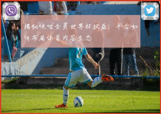 揭秘咪咕会员世界杯权益：平台如何布局体育内容生态